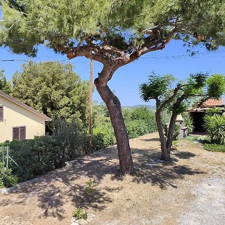 La Casetta Apartment San Vincenzo